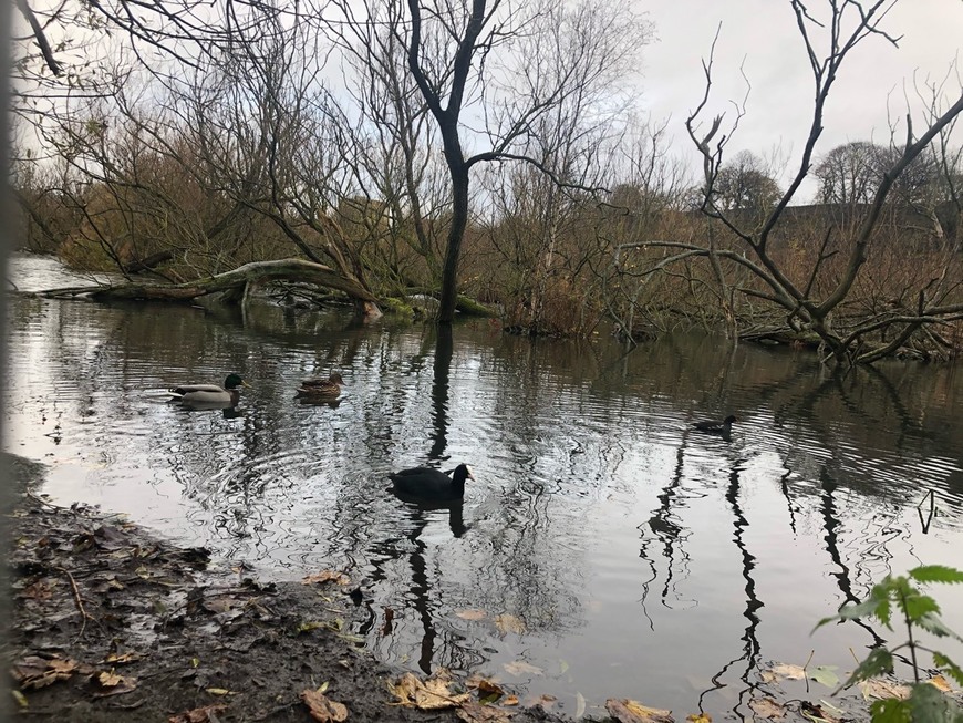 Places Lochend Park