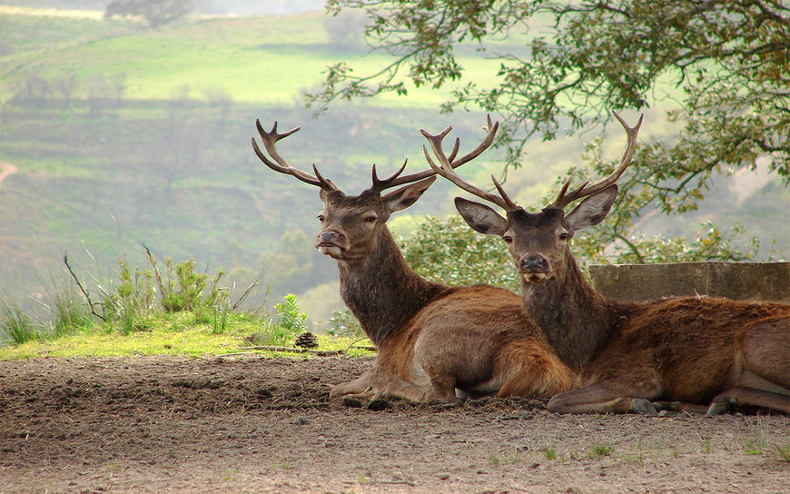 Lugar Tapada Nacional de Mafra