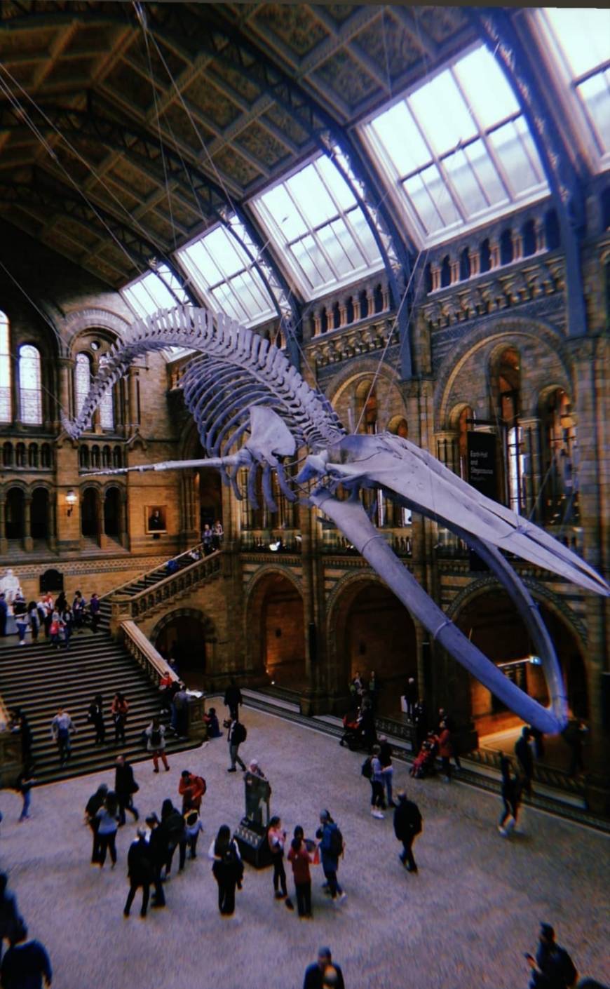 Place Natural History Museum