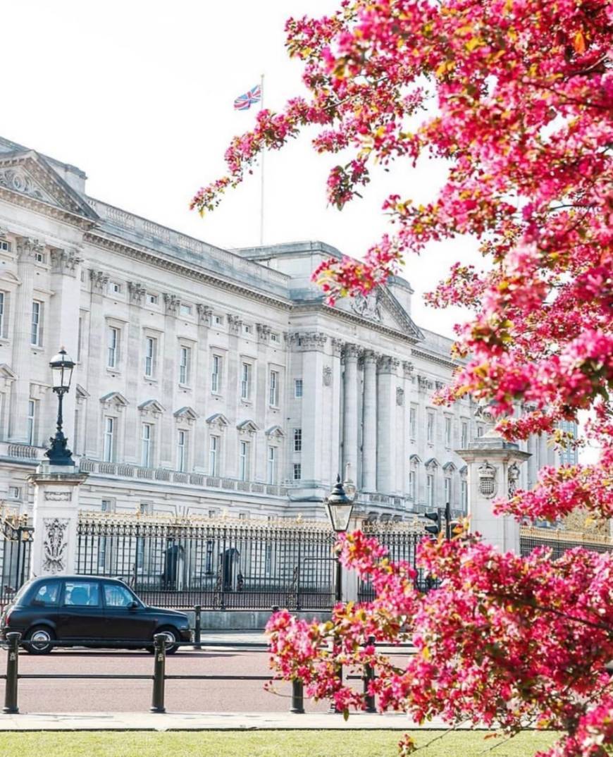 Place Buckingham Palace