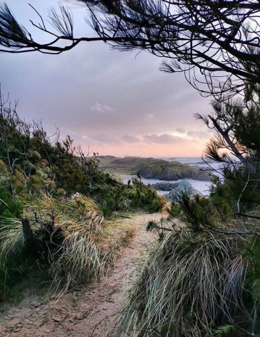 Lugar Newborough Beach