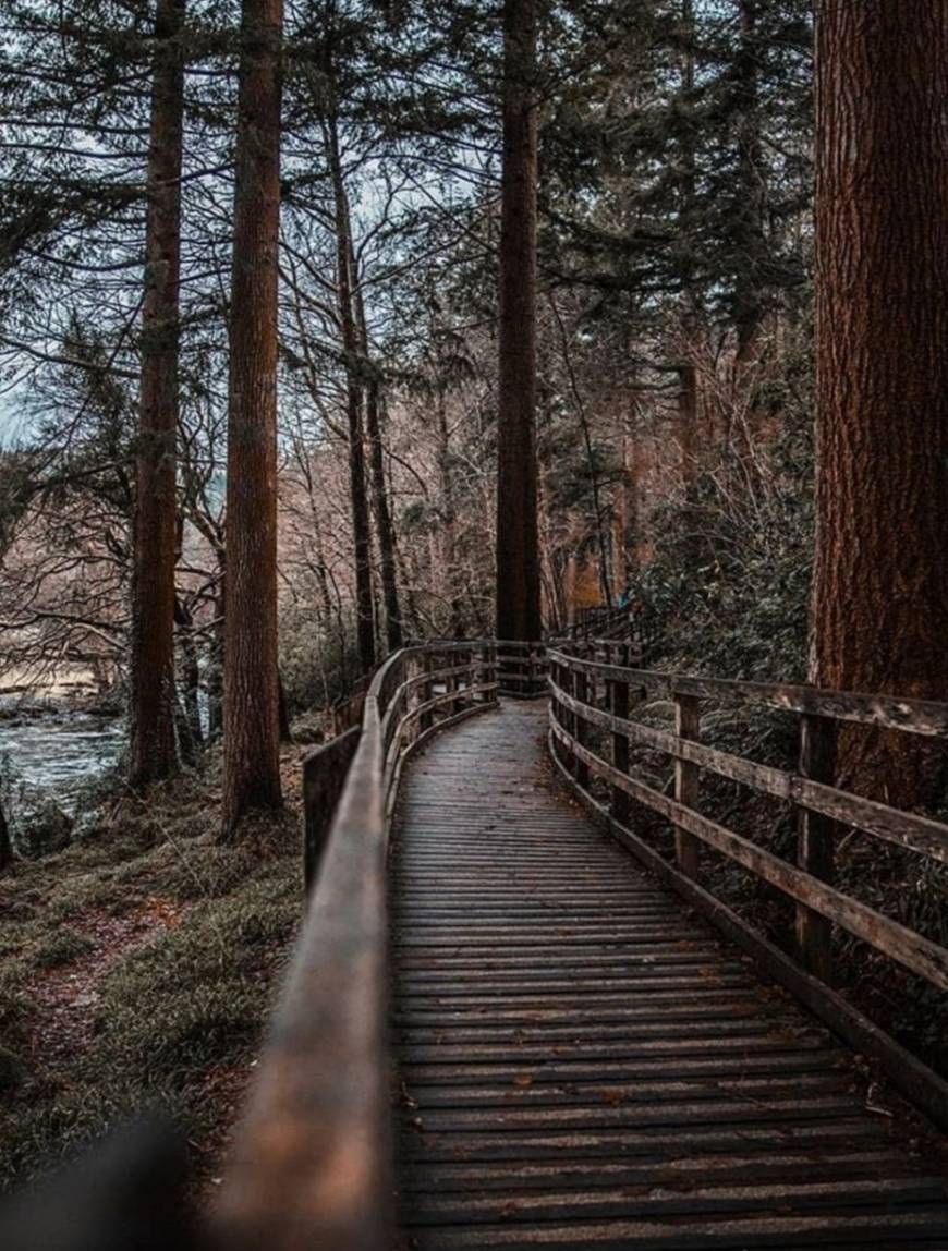 Place Betws-y-Coed