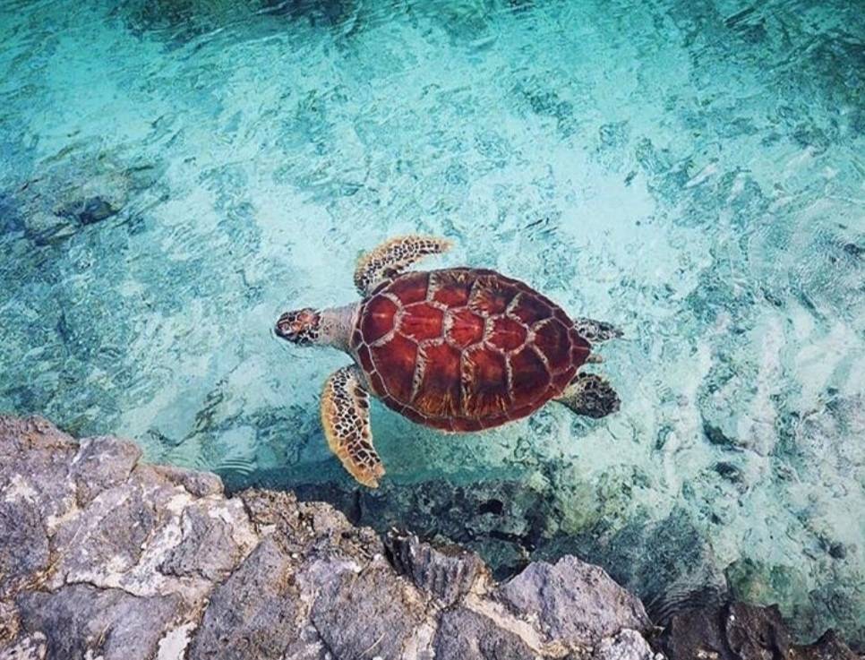 Lugar Bora Bora