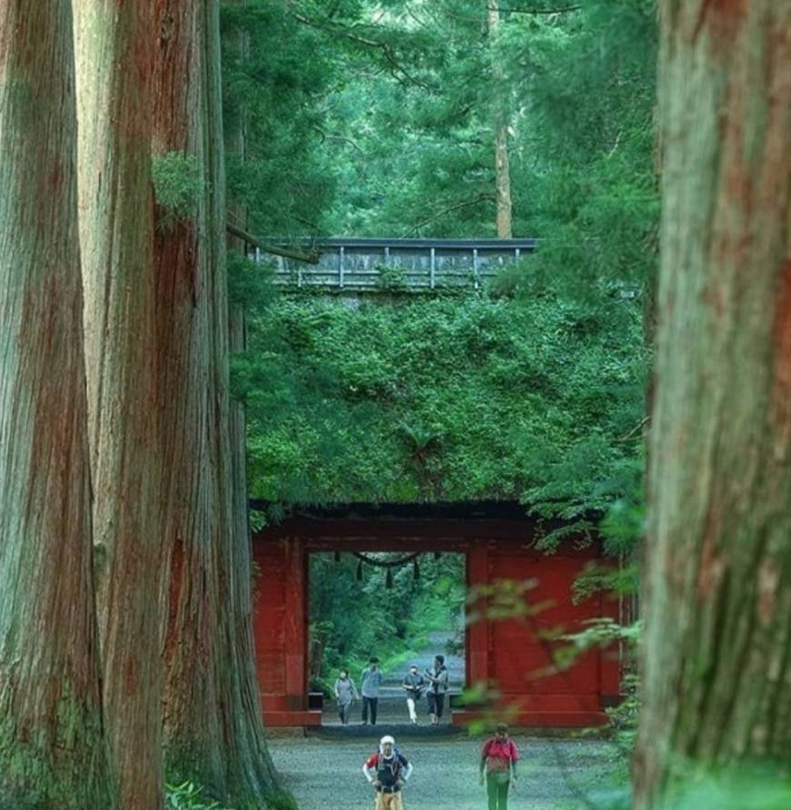 Lugar Togakushi Shrine Kuzuryusha