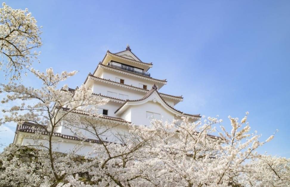 Place Tsuruga Castle