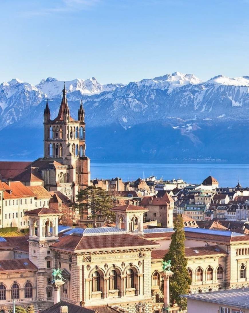 Place Lausanne Cathedral