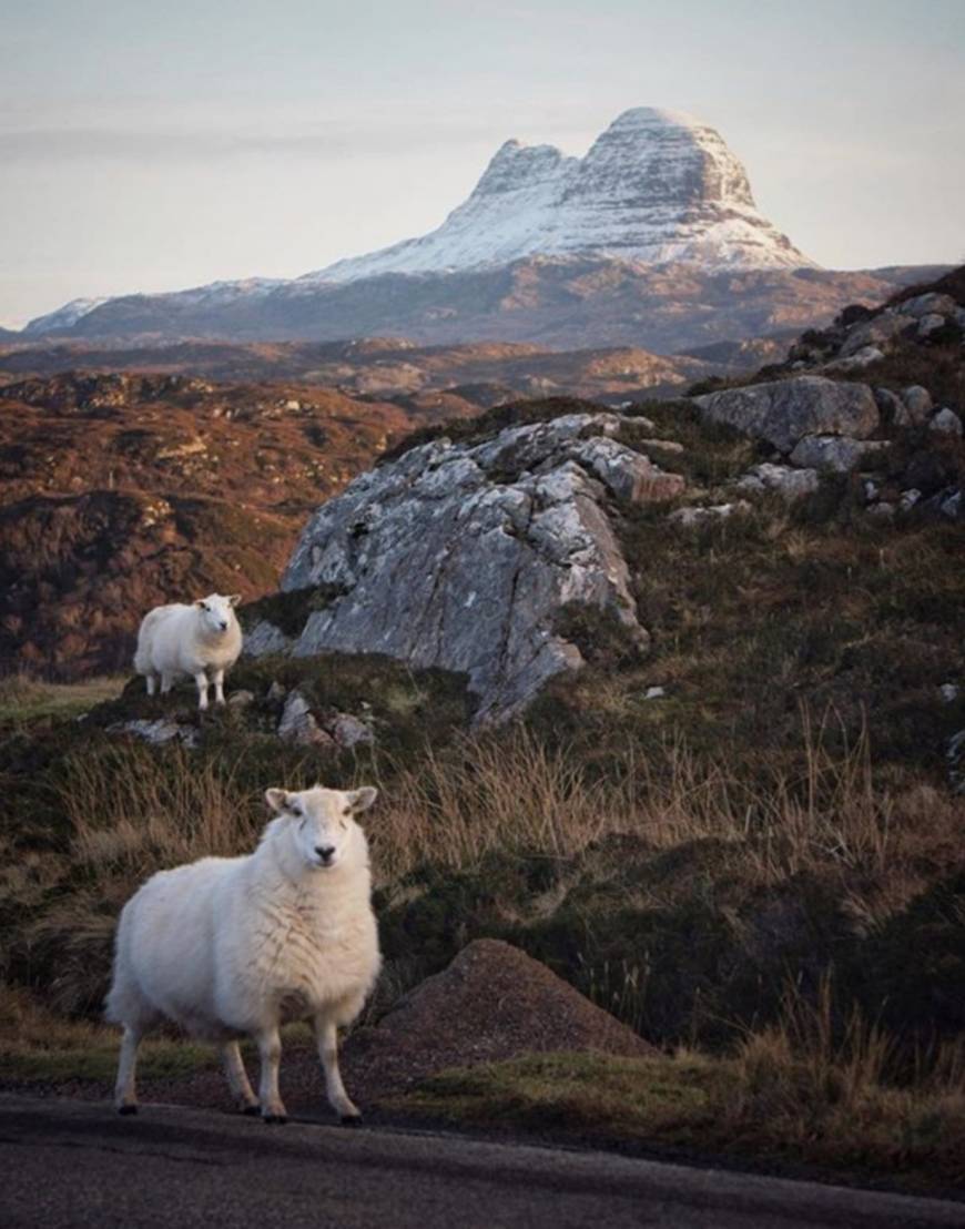 Place Assynt viewpoint