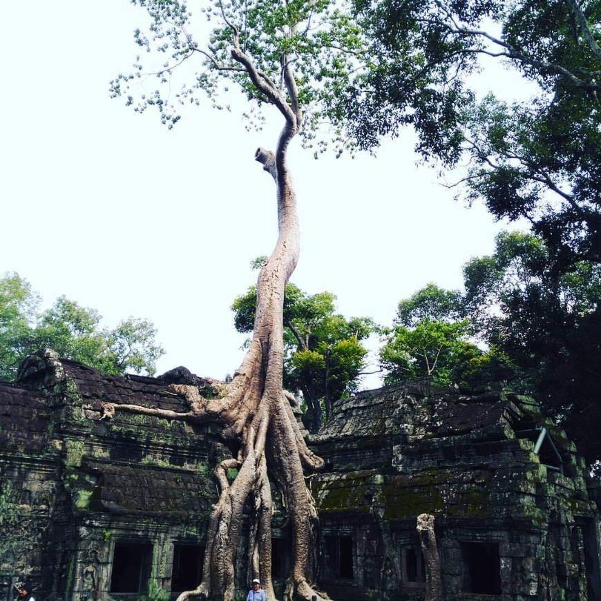 Lugar Ta Prohm