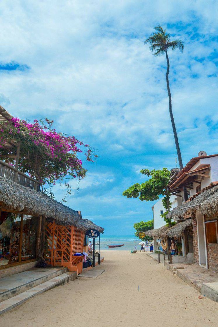 Lugar Jericoacoara/ Ceará 