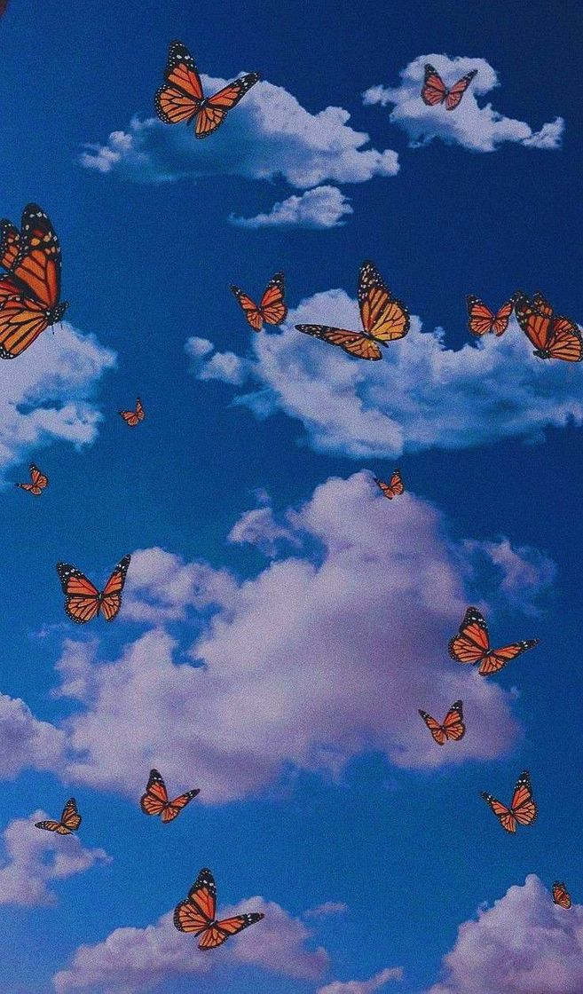 Moda wallpaper aesthetic 🦋