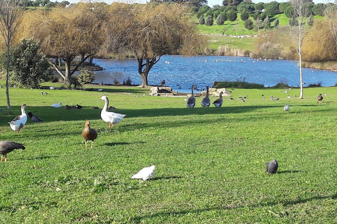 Place Parque da Paz