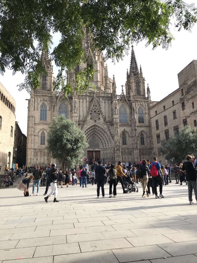 Lugar Catedral de Barcelona