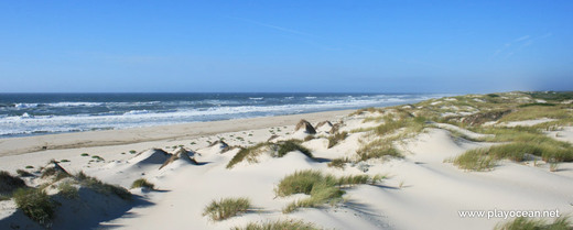 Praia de São Jacinto