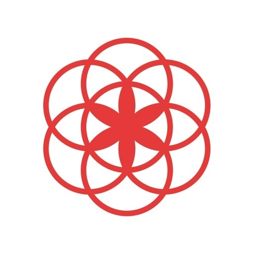 App Clue - Calendario Menstrual