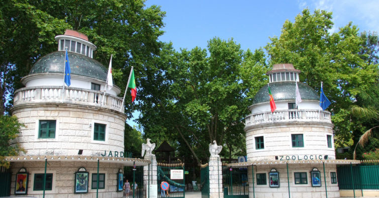 Moda Jardim Zoológico de Lisboa