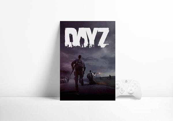 Videojuego DayZ