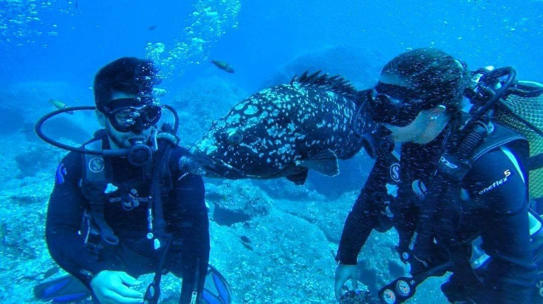 Lugar Mero Diving Center