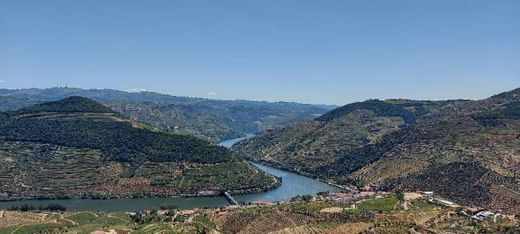 Alto Douro Wine Region (UNESCO)