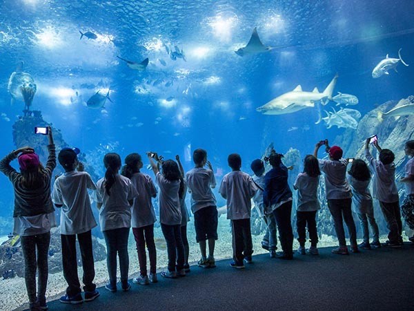 Place Oceanario de Lisboa