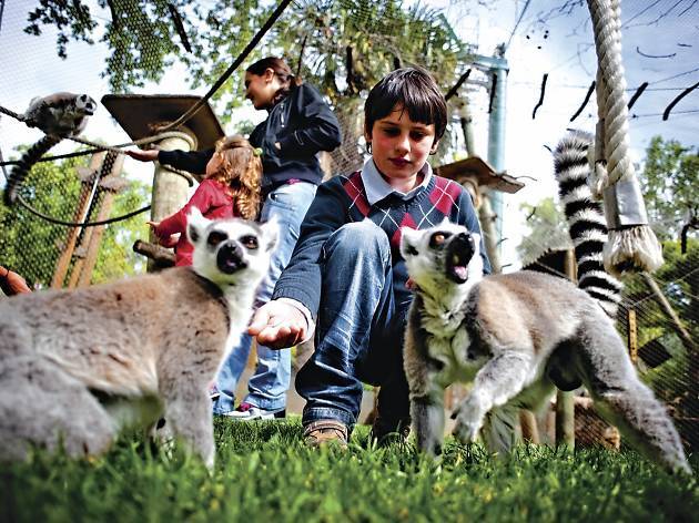 Lugar Jardim Zoológico de Lisboa