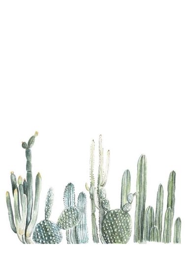 Cactus - Fondo de pantalla