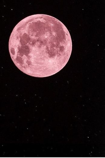 Pink moon - Fondo de pantalla 
