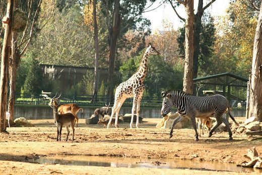 ZOO Santo Inácio