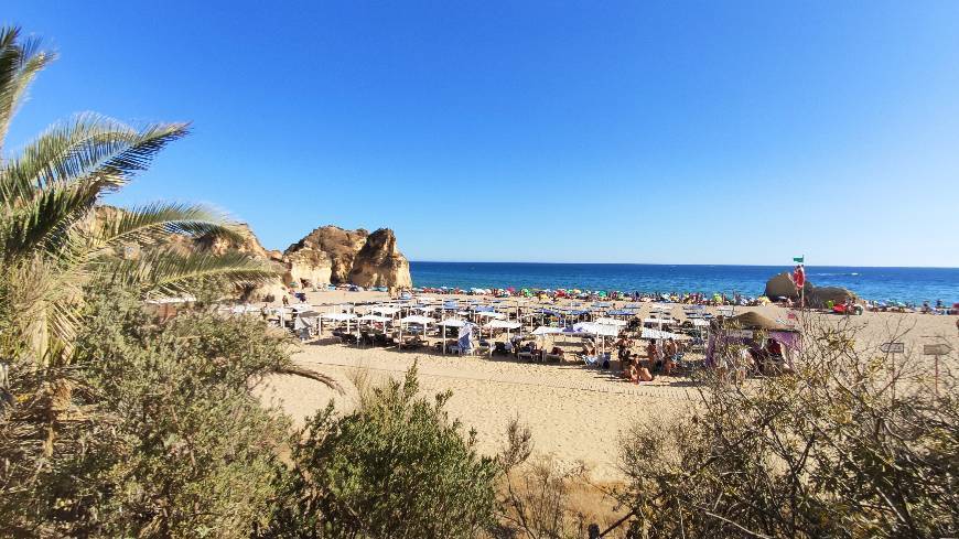 Place Praia da Rocha