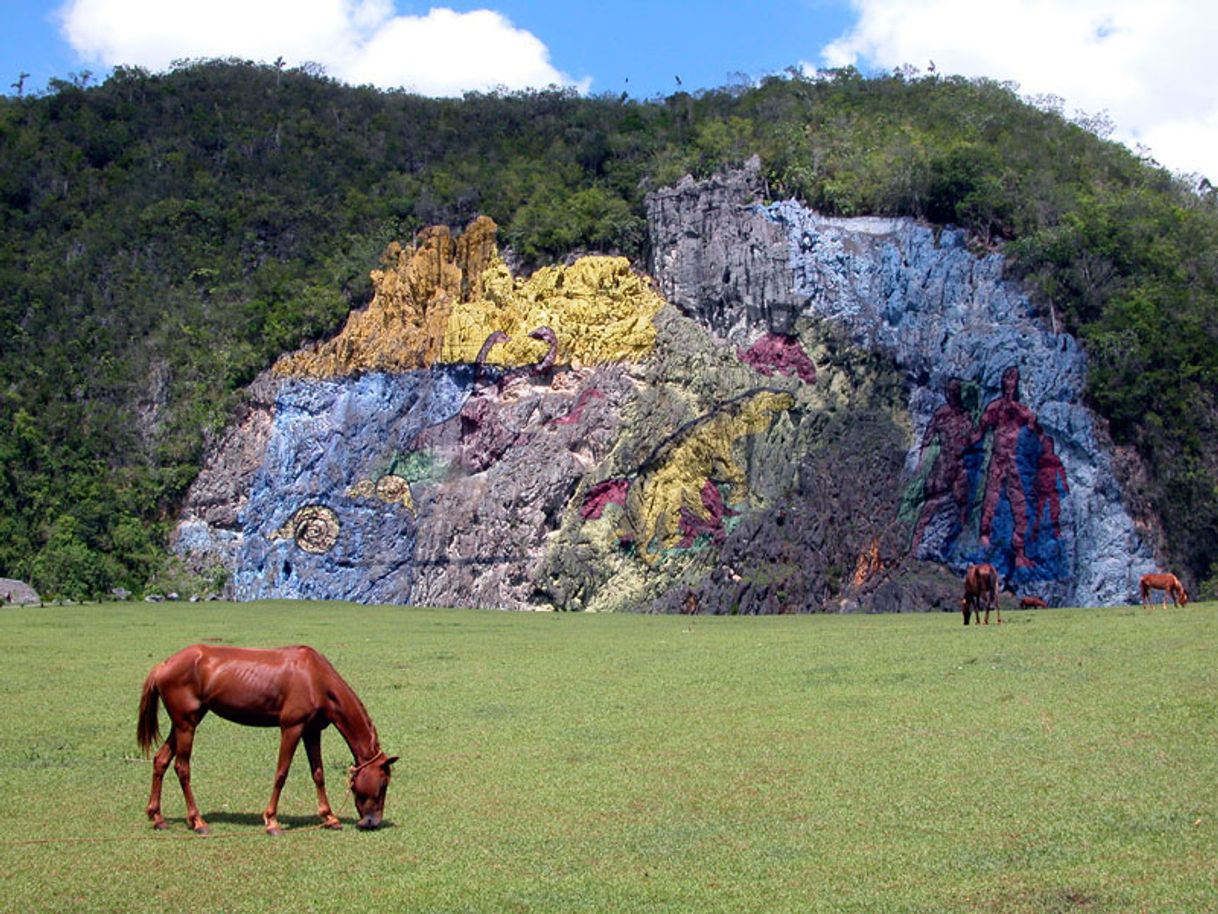 Lugar Pinar del Río