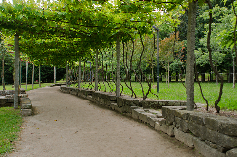 Place Parque da Cidade