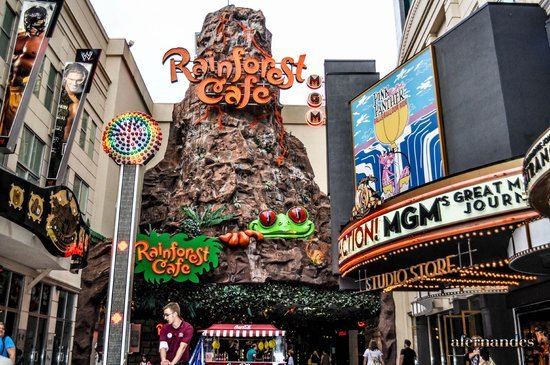 Restaurantes Rainforest Cafe Niagara Falls