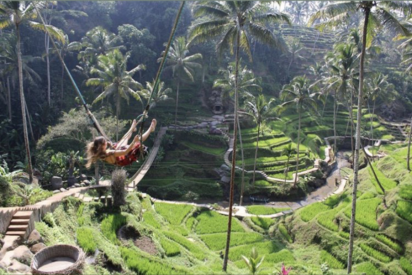 Place Tegallalang Rice Terrace