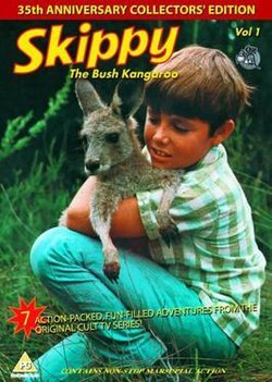 Series Skippy the Bush Kangaroo 1968 - YouTube