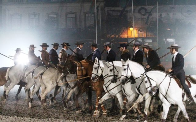Social Feira de São Martinho agora Feira Nacional do Cavalo 