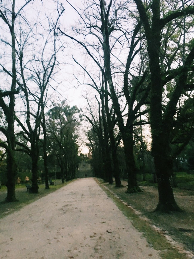 Lugar Jardim Botânico da Universidade de Coimbra