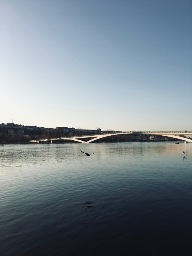 Lugar Park Verde do Mondego