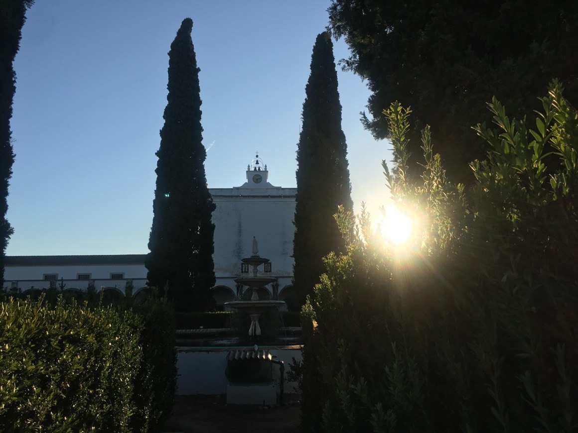 Place Cartuja de Santa María de Scala Coeli