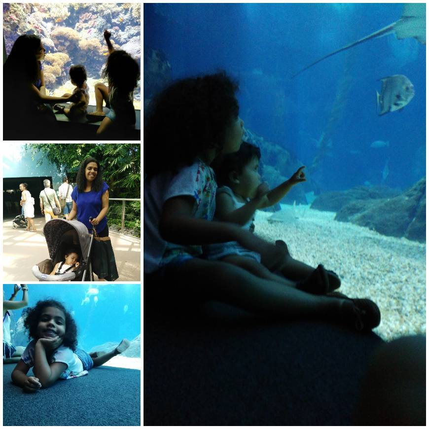 Lugar Oceanario de Lisboa