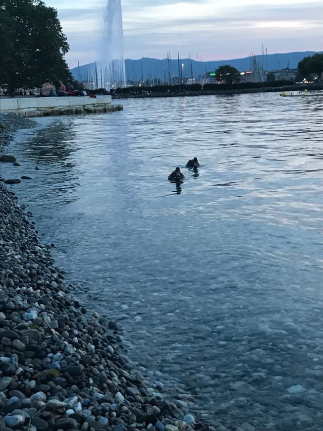 Lugar Genève-Plage