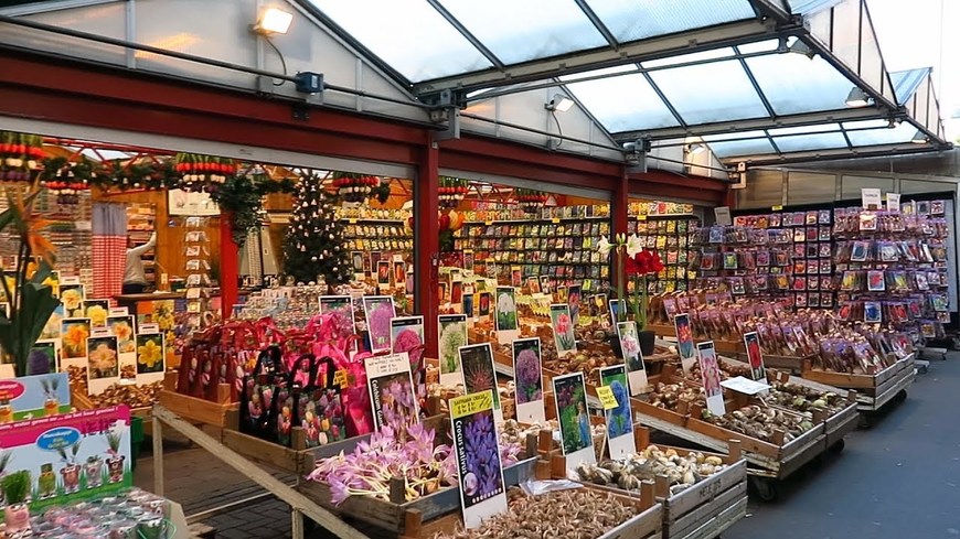 Place Bloemenmarkt