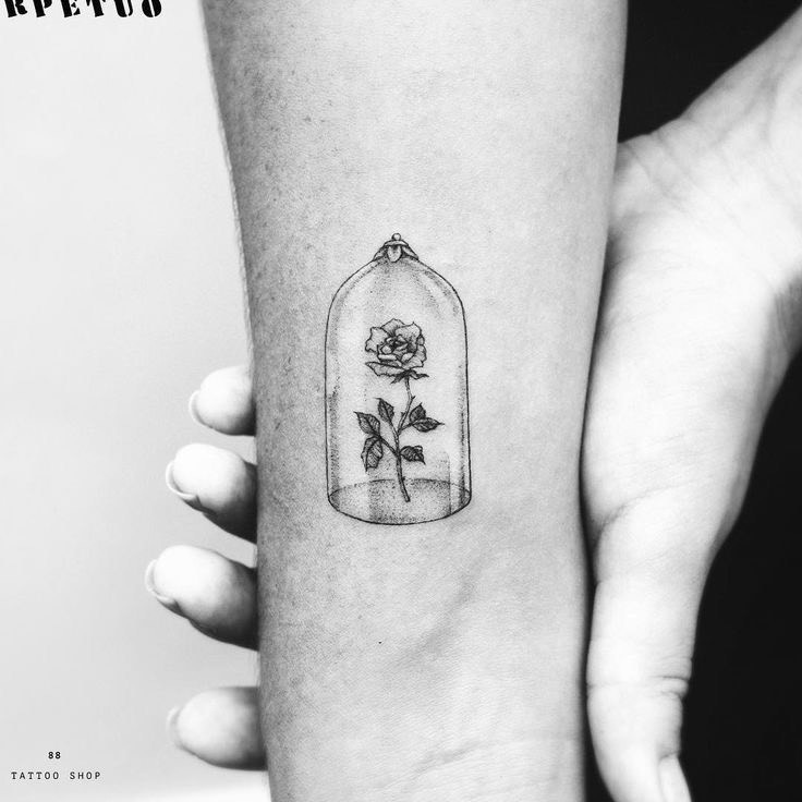 Social Tatuagem 