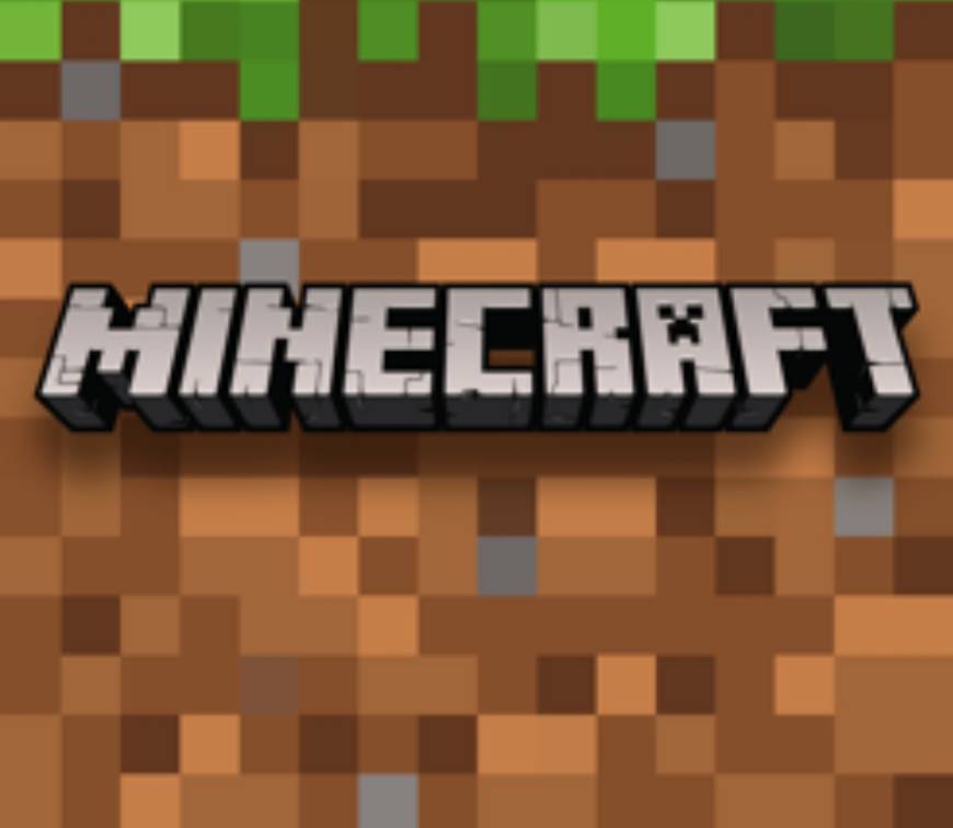 Minecraft versão:1.8