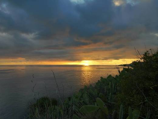 Ponta do Garajau