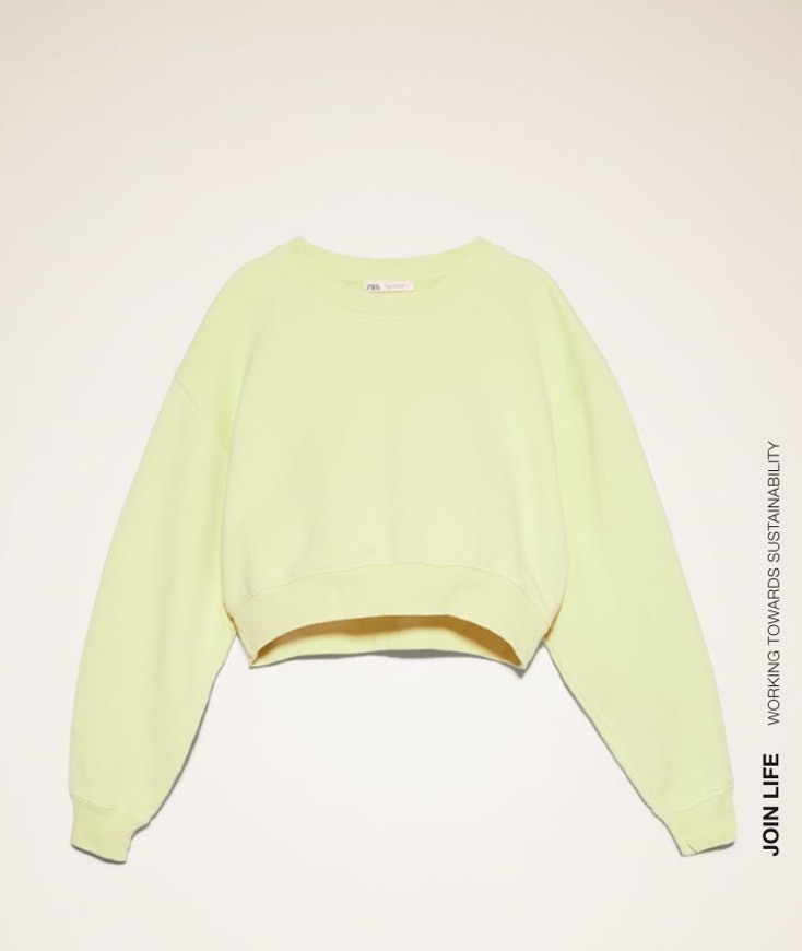 Social Sudadera pollito 🐣 