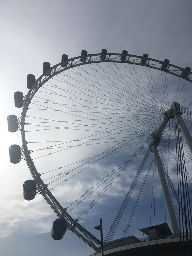 Place Singapore Flyer | A Moving Experience At Every Turn