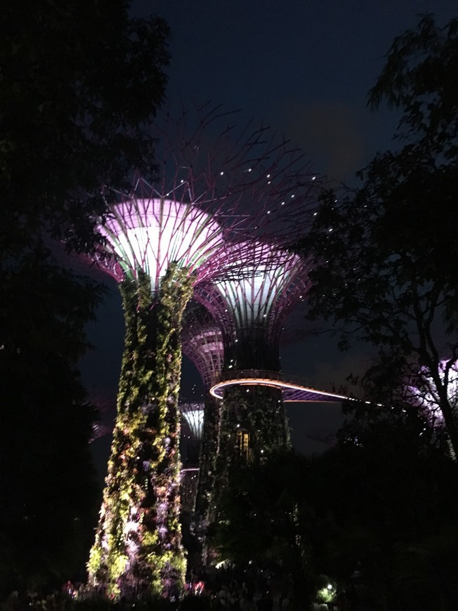 Place Gardens by the Bay