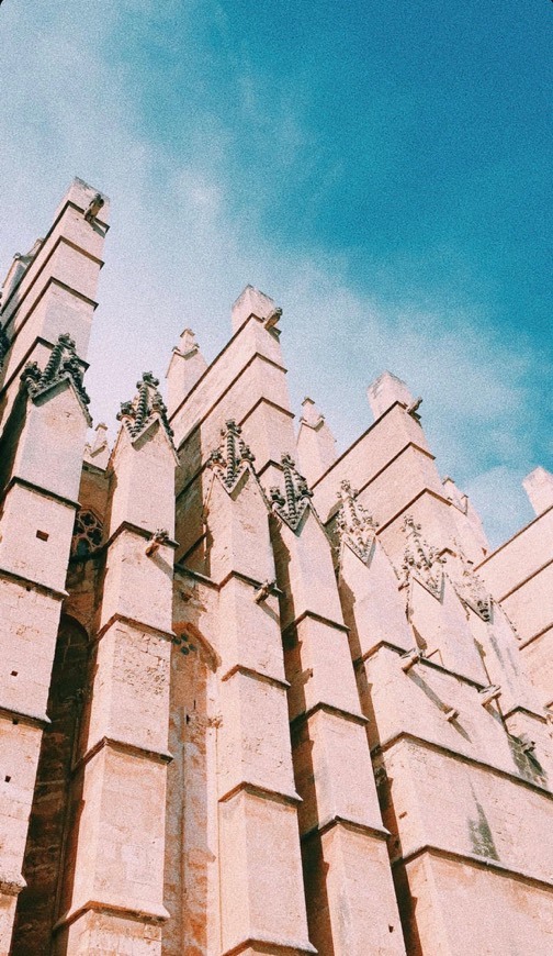 Lugar Catedral-Basílica de Santa María de Mallorca