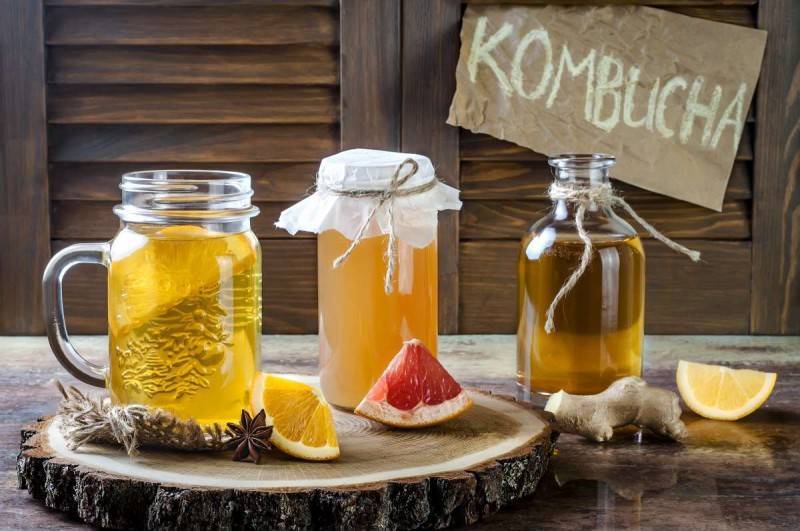 Moda Benefícios da Kombucha