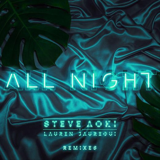 All Night - Steve Aoki Remix