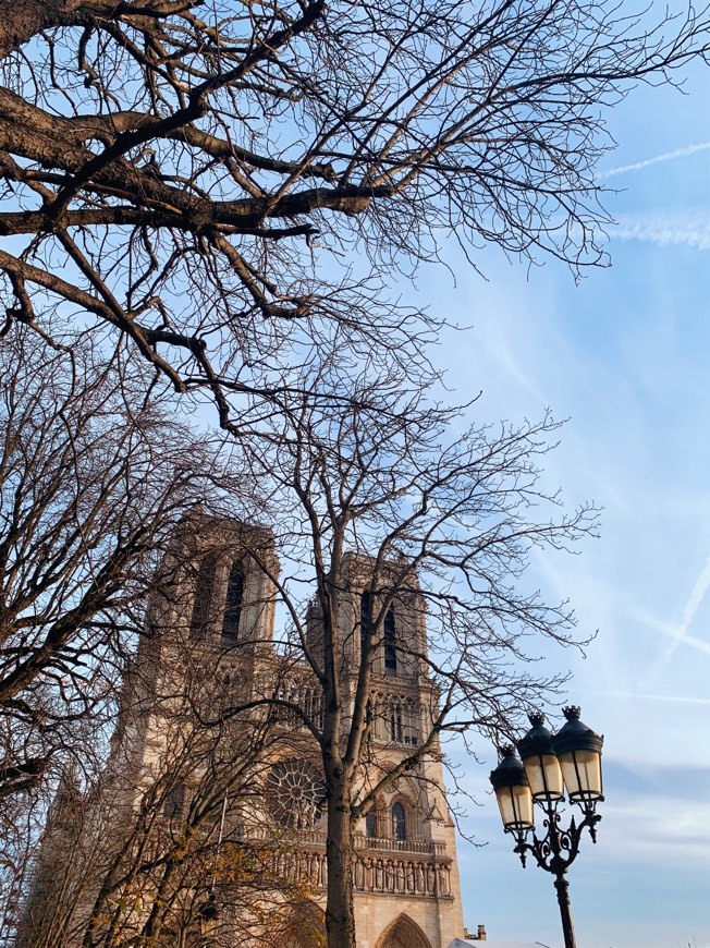 Place Notre Dame